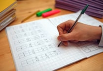 Less than a third of children in need in Surrey meet education standard