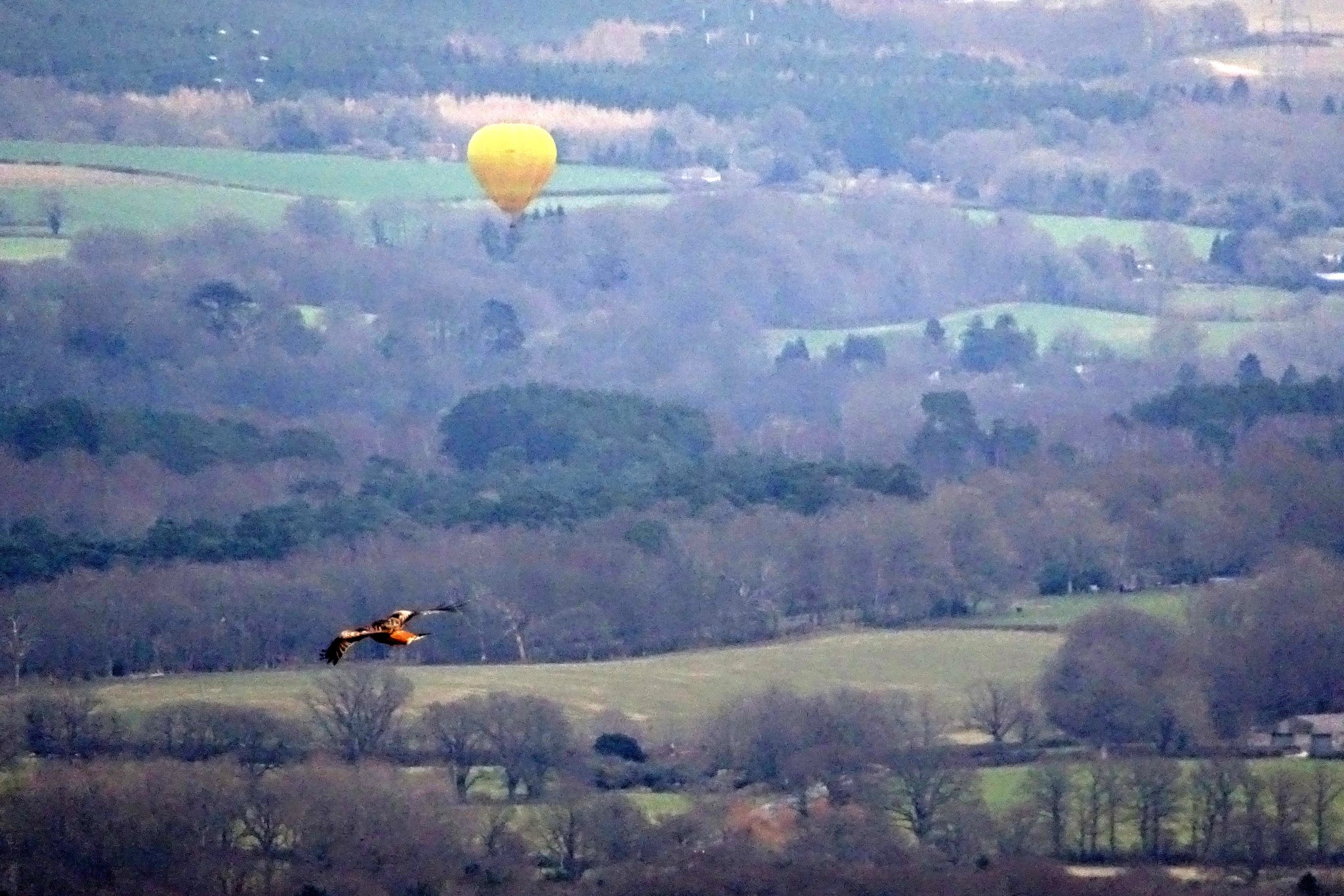 Petersfield-based Sky Surfers hit the heights