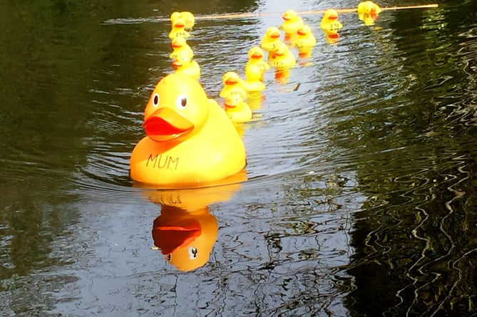 Farnham Duck Race will be returning at Gostrey Meadow on Saturday, April 29