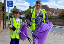 Help Petersfield Society 'Clean up for the Coronation' next Sunday