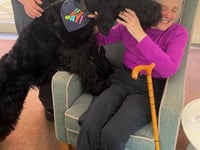 Furry birthday boy brings joy to Hindhead care home residents