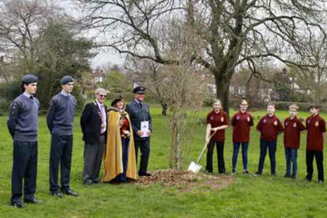 Petersfield Air Training Corps pledges to look after oak trees, April 2023.