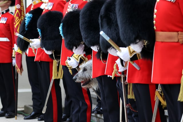 Stunning behind-the-scenes photos of Coronation snapped by Farnham man
