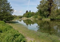 The fishy tale of local beauty spot's disappearing lake is solved...