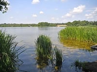 Water blow as algae means no swimming at Great Pond