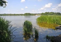 Man arrested after teenage girls 'flashed' at Frensham Great Pond