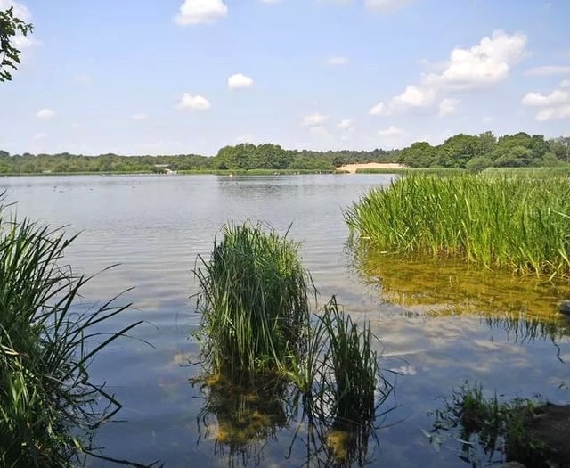 'Extremely dangerous' algae could close Frensham Pond until November