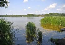 Algae risk prompts swimming ban at Frensham Great Pond