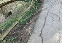 Mile-long Farnham Park footpath to be repaired and restored next month