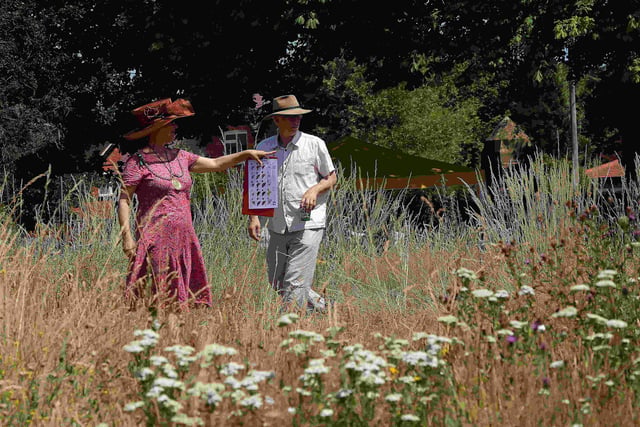 Haslemere's orchards are blossoming – but how are our butterflies?