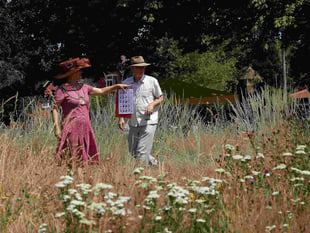 Haslemere's orchards are blossoming – but how are our butterflies?