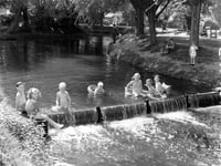 Do you remember the pool created by the old weir in Gostrey Meadow?