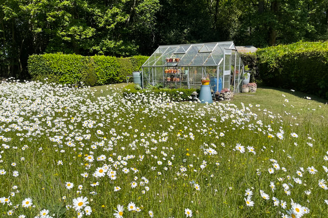 Little Benifold, one of ten gardens opening in Headley this weekend