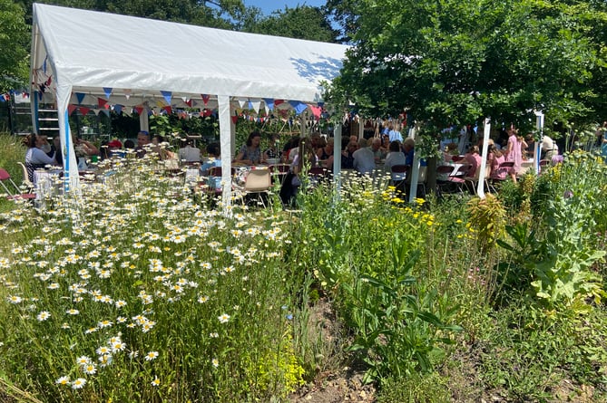 Space2Grow provides a huge array of activities from intergenerational gardening sessions to nature and wellbeing sessions for children, parenting classes for local families and Farnham Men In Sheds, a collaboration with Farnham Maltings