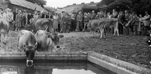 From the Archive: An audience gathers for Bentley’s Jerseys in 1951