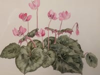 Alresford Art Society exhibition starts at community centre tomorrow