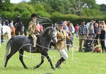 Fawley Horse and Dog Show returns this Sunday