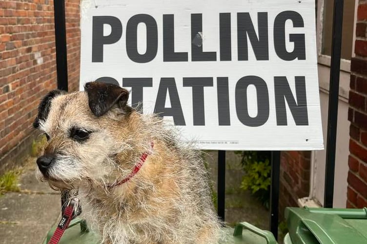 These politicians are making a right old dogs dinner of things: vote canine!