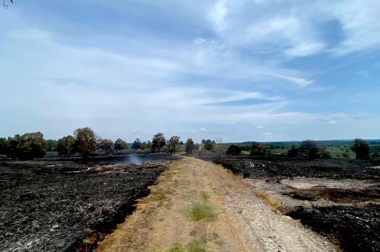 The aftermath of a fire at Woolmer Forest near Bordon