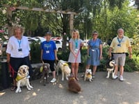 Pets as Therapy dogs win national top spot for their volunteering