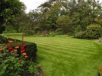 Medstead garden opening gate for National Garden Scheme next month