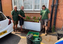 Farnham rolls out the red carpet for the In Bloom judges