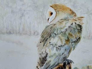 Record visitors and sales at Alresford Art Society exhibition