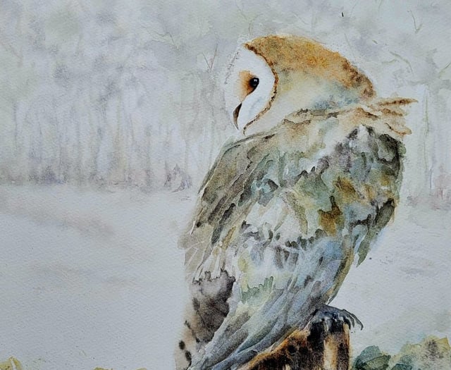 Record visitors and sales at Alresford Art Society exhibition