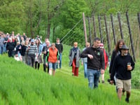 Tongham-based Hogs Back Brewery welcome 150 guests to hop blessing