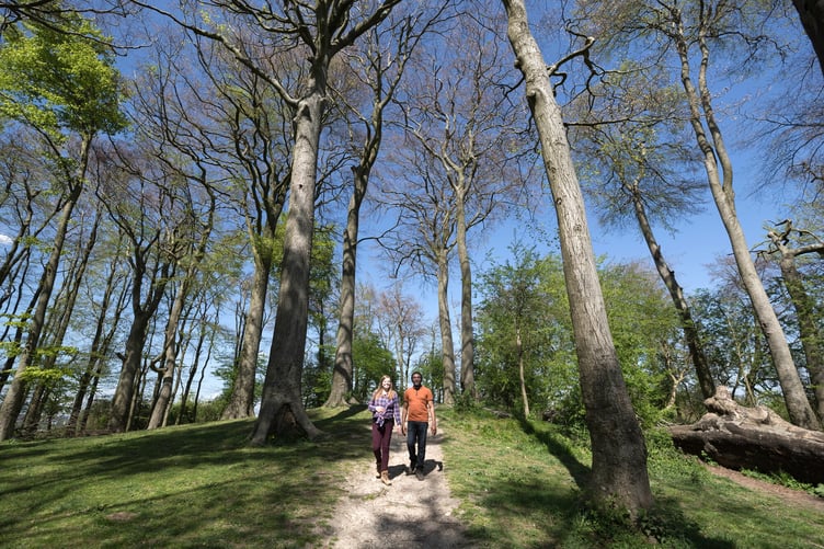 The scheme is being launched by the South Downs National Park Authority in partnership with Green Tourism