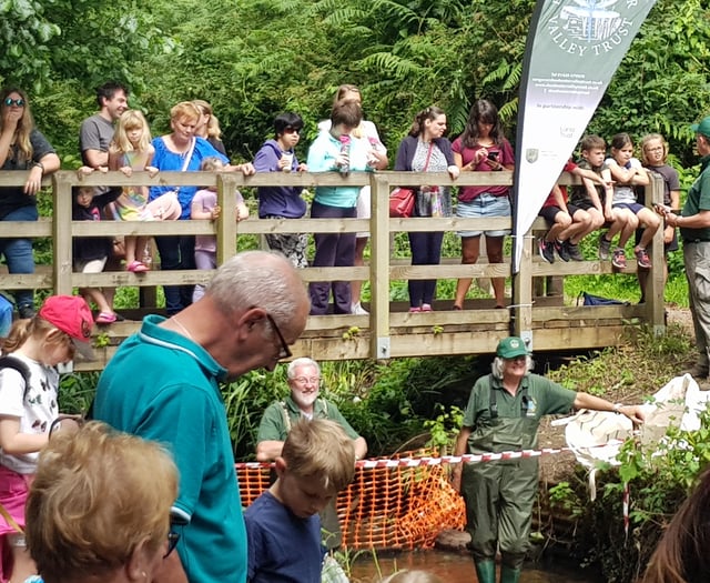 Rubber duckies make a splash at the Deadwater Valley Trust Duck Race
