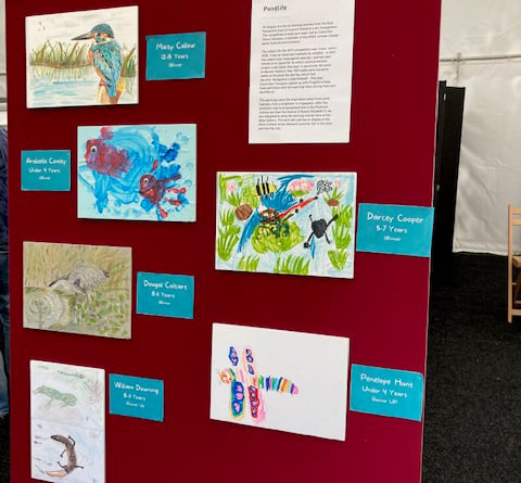 East Hampshire District Council pond life children's art competition winners and runners-up at Alton Eco Fair, July 16th 2023.