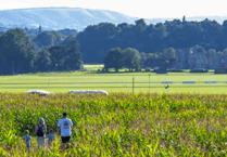 Have an amazing time in the Cowdray maize maze