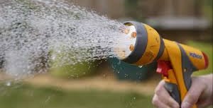 Hosepipe ban introduced for Hampshire