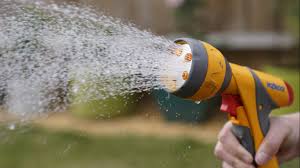 Hosepipe ban introduced for Hampshire