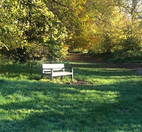 Take a moment to reflect at the new bench dedicated to Elfrida Manning in Farnham Park