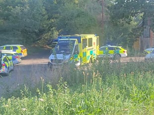 Murder probe launched after toddler dies after being pulled from pond