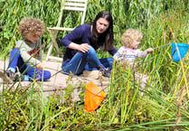 New nature-based children's stay and play sessions launched in Farnham