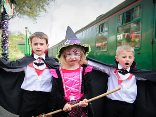 Watercress Line hosting magical train rides for all little wizards