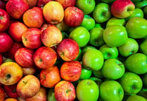 It's Apple Day at St Mark's in Hale this Sunday – and all are invited!