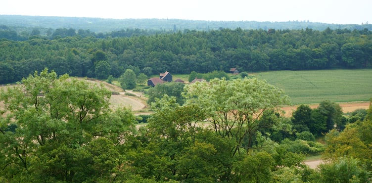 The Surrey Hills AONB board says the government proposals would make it easier to convert rural properties into housing