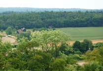 Surrey Hills under threat: Battle erupts over relaxation of conversion rules