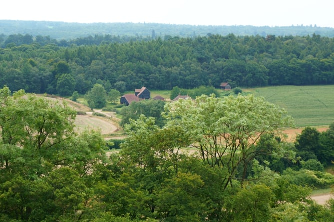 The Surrey Hills AONB board says the government proposals would make it easier to convert rural properties into housing
