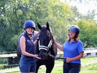 Incredible recovery for horse after horrific injury in gate accident