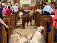 Grayswood Church transformed into Noah's Ark – without the flood