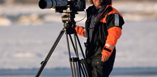 Doug Allan tells wildlife tales from behind the camera