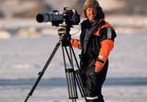 Doug Allan tells wildlife tales from behind the camera