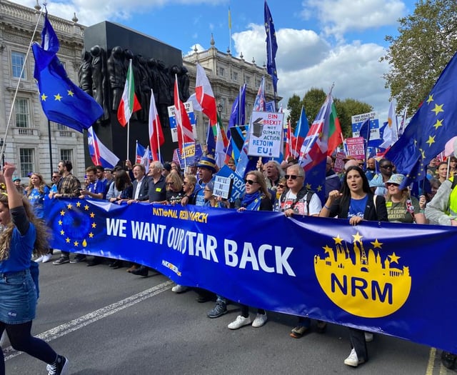 European Movement: Join the fight to get back our European star