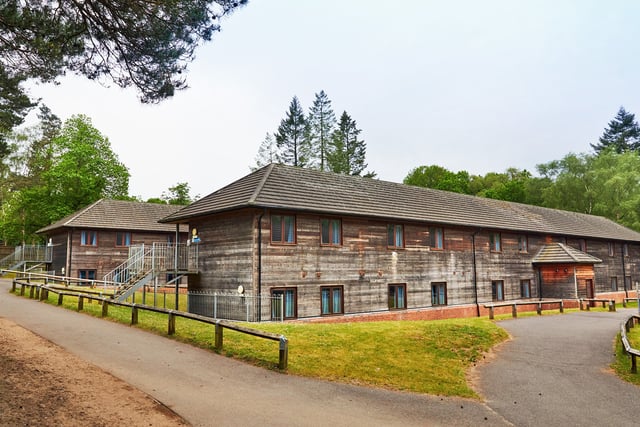 Investigation under way into Marchants Hill PGL tree incident