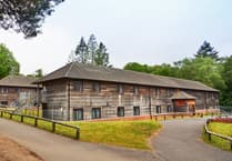 PGL hit with £1 million fine after children injured at Hindhead adventure centre
